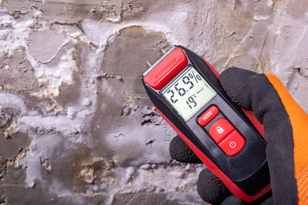 Best Water Damage Restoration  in North Mankato, MN